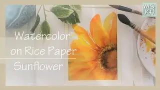 Watercolor Flower on Rice Paper/Painting SunFlower/simple painting/MSKH ART/한지위에 수채화/  해바라기그림/수묵일러스트