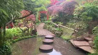 Japanese garden at Forest Glade. Mt Macedon. 31st Oct 2025. 