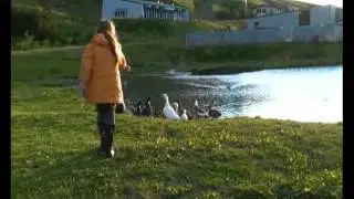 Village of Sudureyri and Fisherman Hotel - Iceland