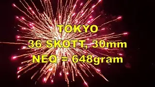 Fyrverkeri t&aring;rta TOKYO fr&aring;n 4verkeri (ROJKEN) Fireworks cake #fireworks #fyrverkeri #pyro #subscribe