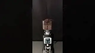 Sigma ED Grinder Demo | Precision Grinding for Espresso & Hand Brew #baristatools #cafesetup