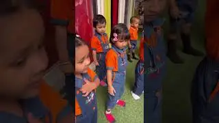 Introduction of animals 