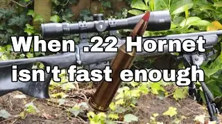 .17 Хорнет