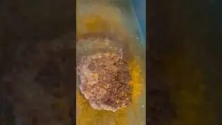 Hunter Burger