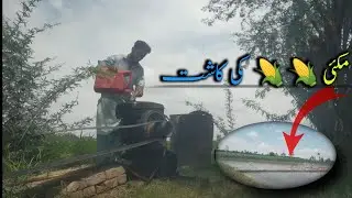 Maki🌽ki kasht|| rural buddy 
