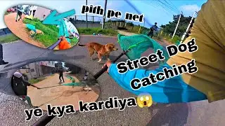 Street Dog Catching Vlog || Awara Kutte Pakadne Ka Video 