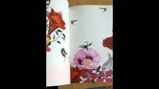 Let's Look Inside - Birdtopia.