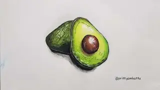 How to draw realistic avocado fruit