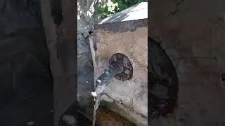 DECOUVERTE DU HAMEAU DU BOURGET à St Pierre d'Albigny