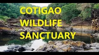 We visited Cotigao Wildlife Sanctuary