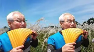 Song of Love(중주/Solo Ensemble) / 팬플룻(Panflute)  / 김재영