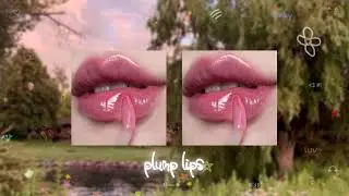 lip plumping gloss
