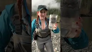 Survival water filter build deep in the BC backcountry!!  #outdoors #westcoast #survival #viral