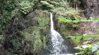 The Fairy Glen