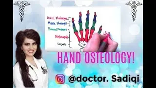 LEARN HAND & WRIST BONES IN LESS THAN A MINUTE!!!