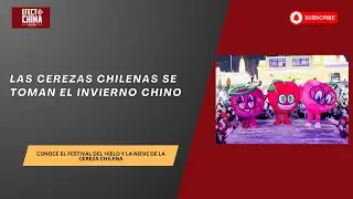 Cerezas chilenas brillan en el invierno chino