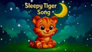 Sleepy Tiger Song 🍼 Baby Lullaby 🌙 Sleep Music to Calm and Relax
