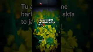 tu agar ishq me barbad💯💓👌🏻...#islamicstatus #trending #bayan #viral #status