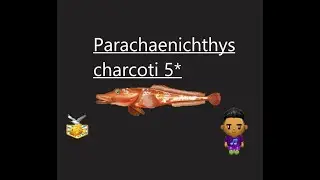 Fishao -5* Parachaenichthys charcoti