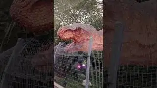 樟宜机场.侏罗纪步道.游玩攻略