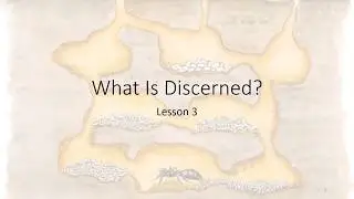 2   Wisdom From The Ant Hill   Lesson   3   What Is Discerned