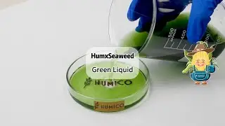 #Humico HumxSeaweed (Green Marine Algae Extract Liquid) | Organic Fertilizer - China Manufacturer
