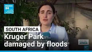 South Africa's Kruger National Park suffers severe damage due to floods &bull; FRANCE 24 English