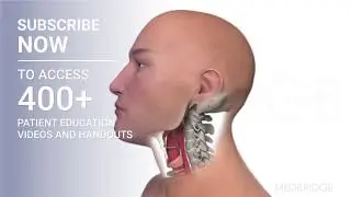 Chin Tuck - Patient Education | MedBridge