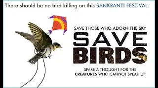 Saving a Birds life during Makar Sankranti I Happy Sankranti