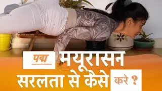 पद्म मयूरासन सरलता से कैसे करें | Padma Mayurasana Step by Step | पद्म मयूरासन करने की रीत हिंदी में