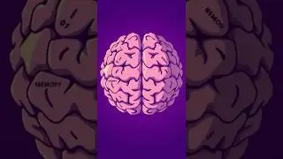 🧠 How Does the Brain Work? | Simple Explanation for Kids or adults (3-Minute Science Video)