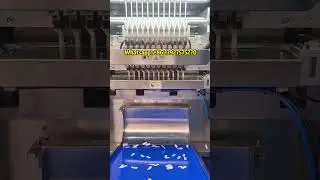 12Multi-Lane snus packaging machine  Nicotine Pouches high speed Packaging machine#packagingmachine