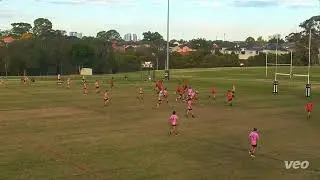 Dylan 2023 Highlights