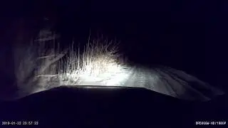 Вдруг откуда не возьмись :)