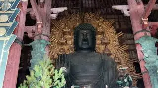 冬の奈良公園～東大寺 へ