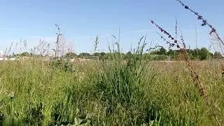 100 01716 Banbury Rise Estate in 2025 3