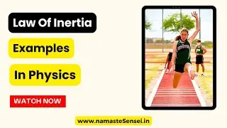 3 Law Of Inertia Examples In Daily Life | Physics 🚀