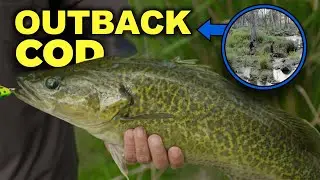 Australian Outback River Fishing - Cod and Trout