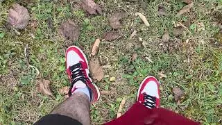 Air Jordan 1 lost and found