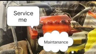 Battery terminals cleaning.