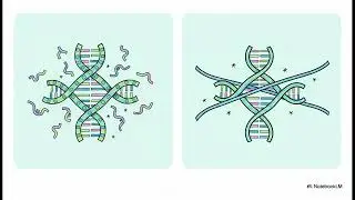 Error of equity genetic #genetics #studdy 