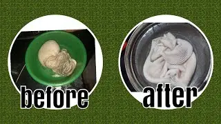 how to clean goat intestine |ஆட்டு குடலை சுத்தம் செய்வது எப்படி|