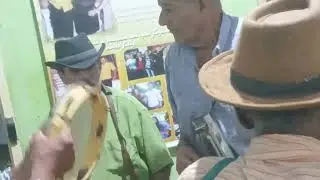 Viva os fuleões Os foliões dos foliões os o leões os fuleões