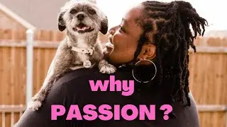Unveiling Passion Pet Care Services: The Story Behind Our Name