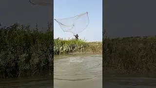 When a giant fish reveals itself, timing is everything #fishing #shorts