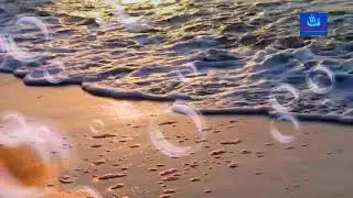 Relax in the Summer||Instrumental Music No Copyright, Motivation Music Inspirational Free Download