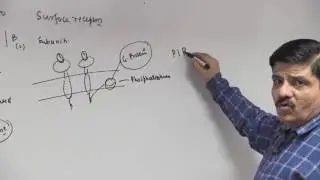 Mechanism of Hormone Action - Chemical Coordination & Integration - Dr. NK Sharma NEET
