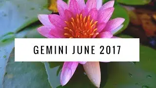 Gemini June 2017 - Monthly Reading