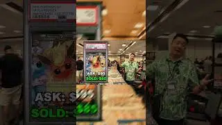 Why Pok&eacute;mon Card Investing Works &ndash; This Video Proves It!