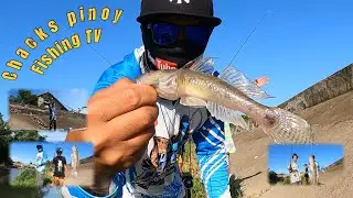 Catching BIYA or dwarf pygmy goby or Philippine goby, spot Binalbagan river negros occidental